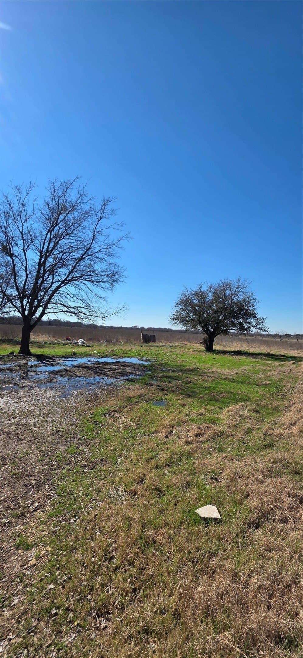 5.2 acres in Navarro County gallery image 4