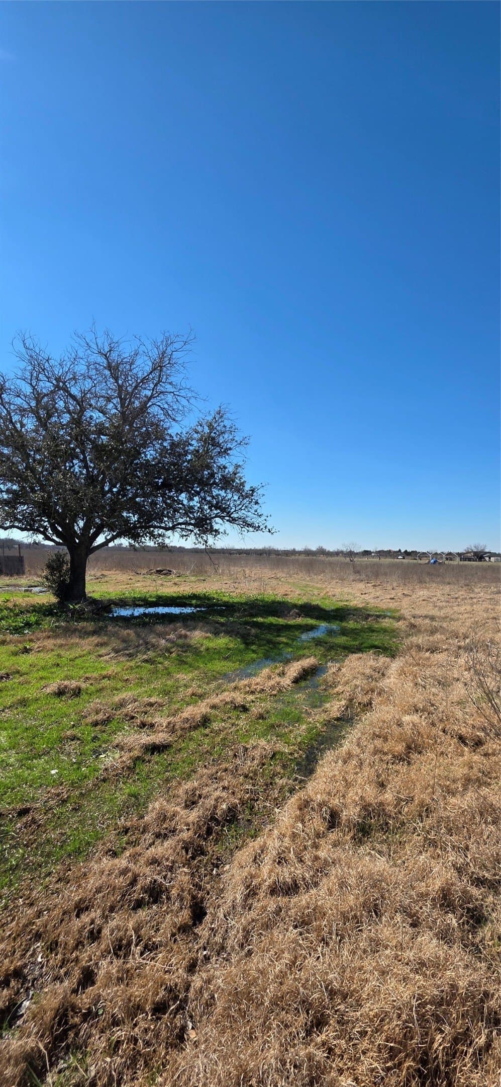 5.2 acres in Navarro County featured view