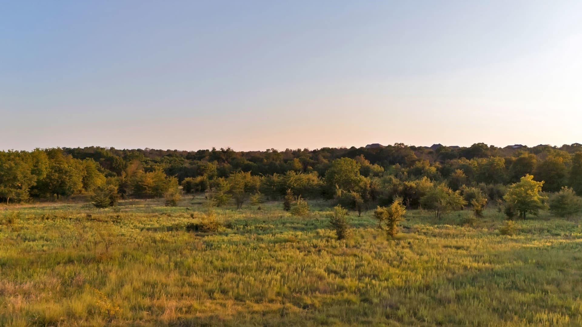 17.8 acres in Parker County - photo 10