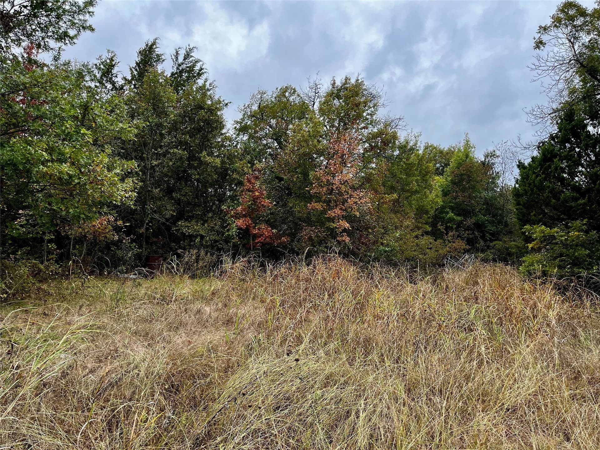 17.8 acres in Parker County - photo 13