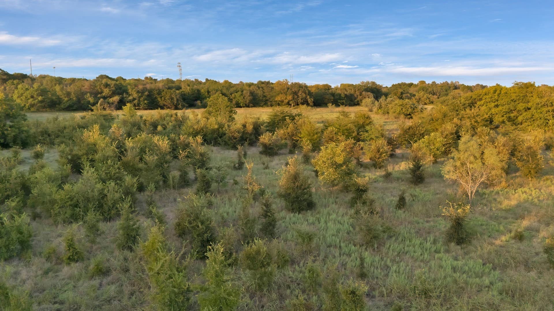 17.8 acres in Parker County - photo 5
