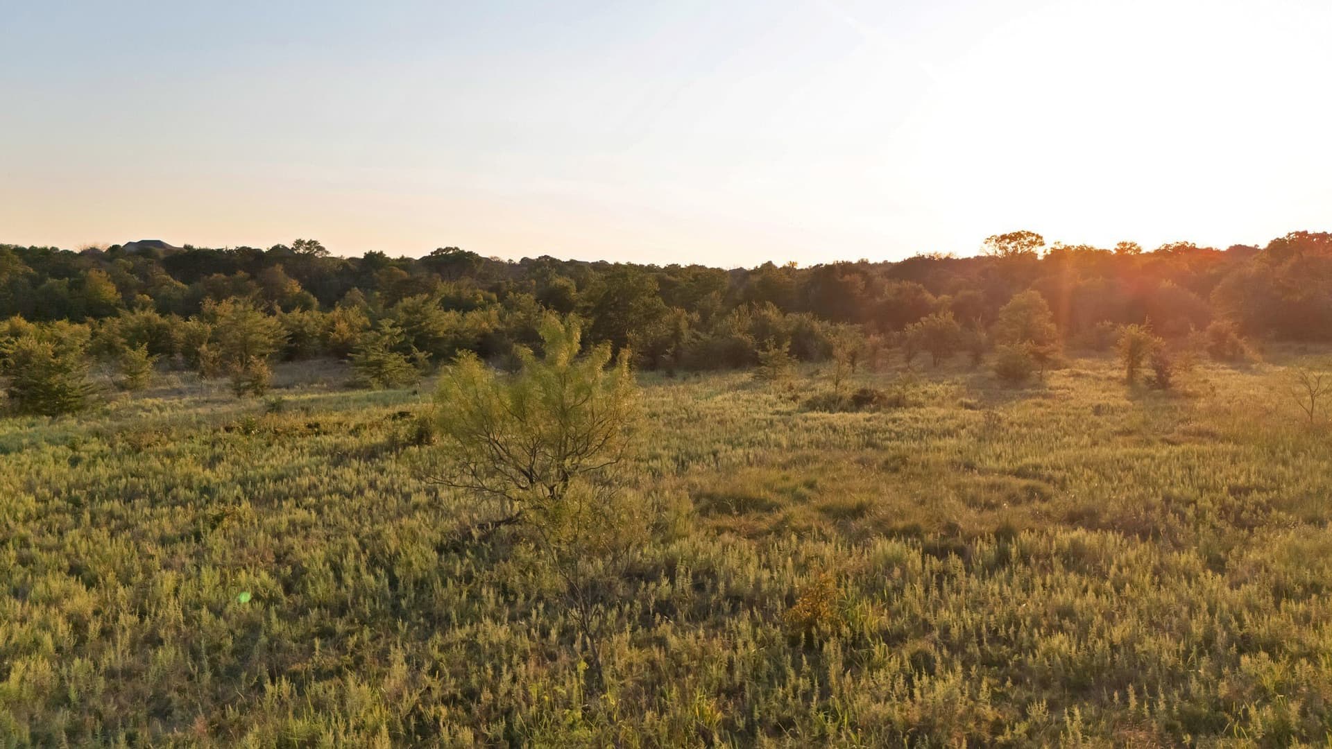 17.8 acres in Parker County - photo 7