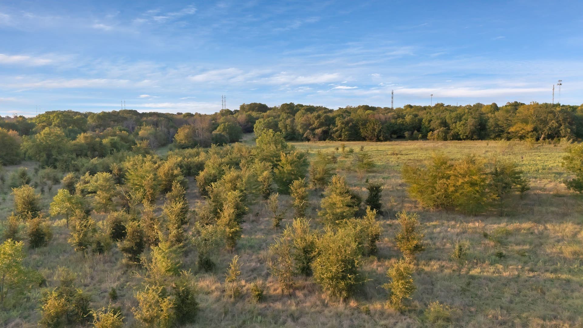 17.8 acres in Parker County - photo 6