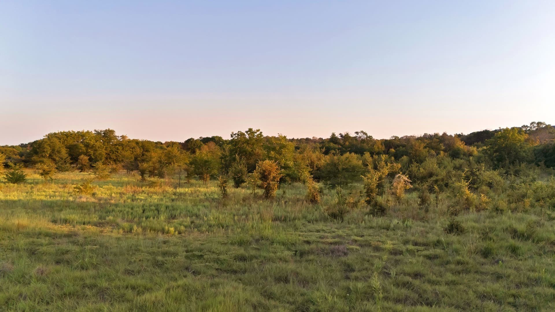17.8 acres in Parker County - photo 8