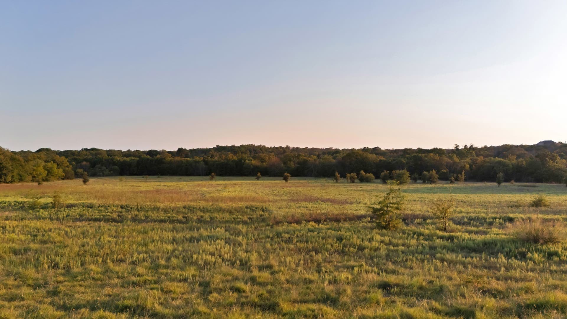 17.8 acres in Parker County - photo 9