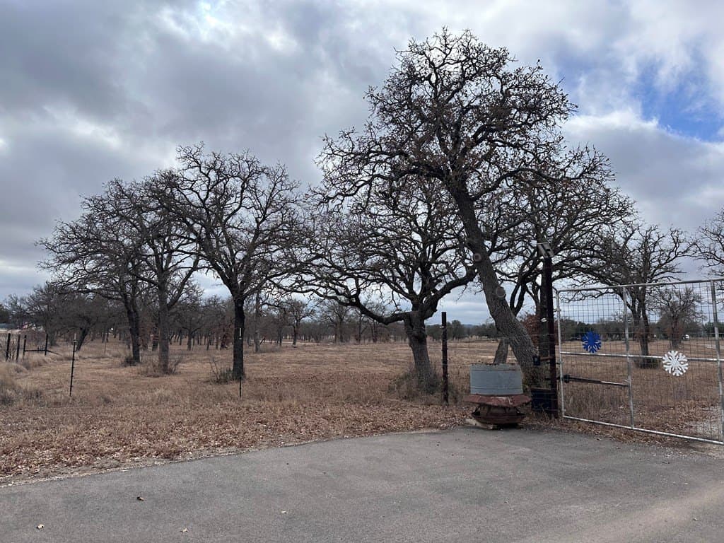 20 acres in Gillespie County - photo 8