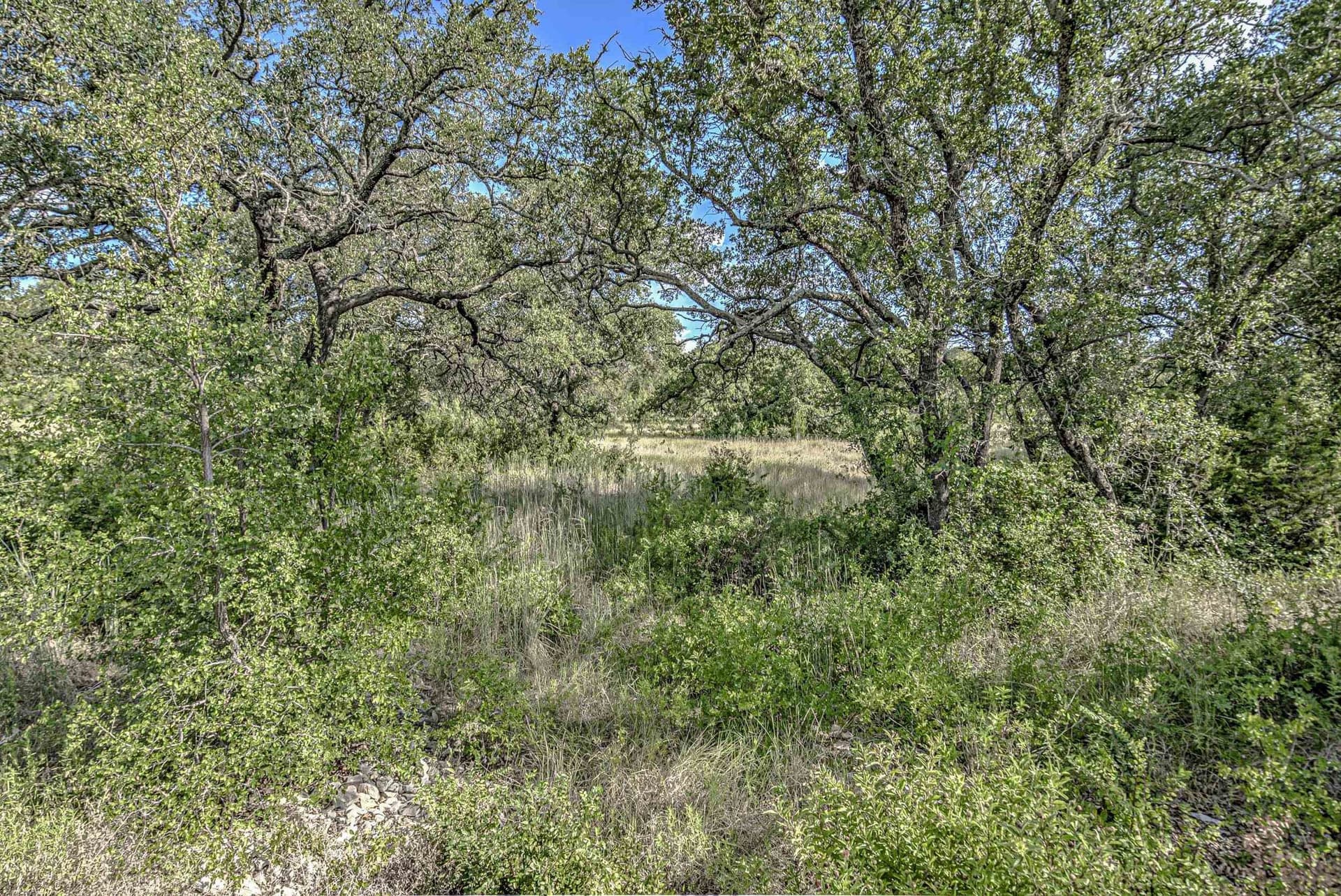 1.54 acres in Llano County - photo 23
