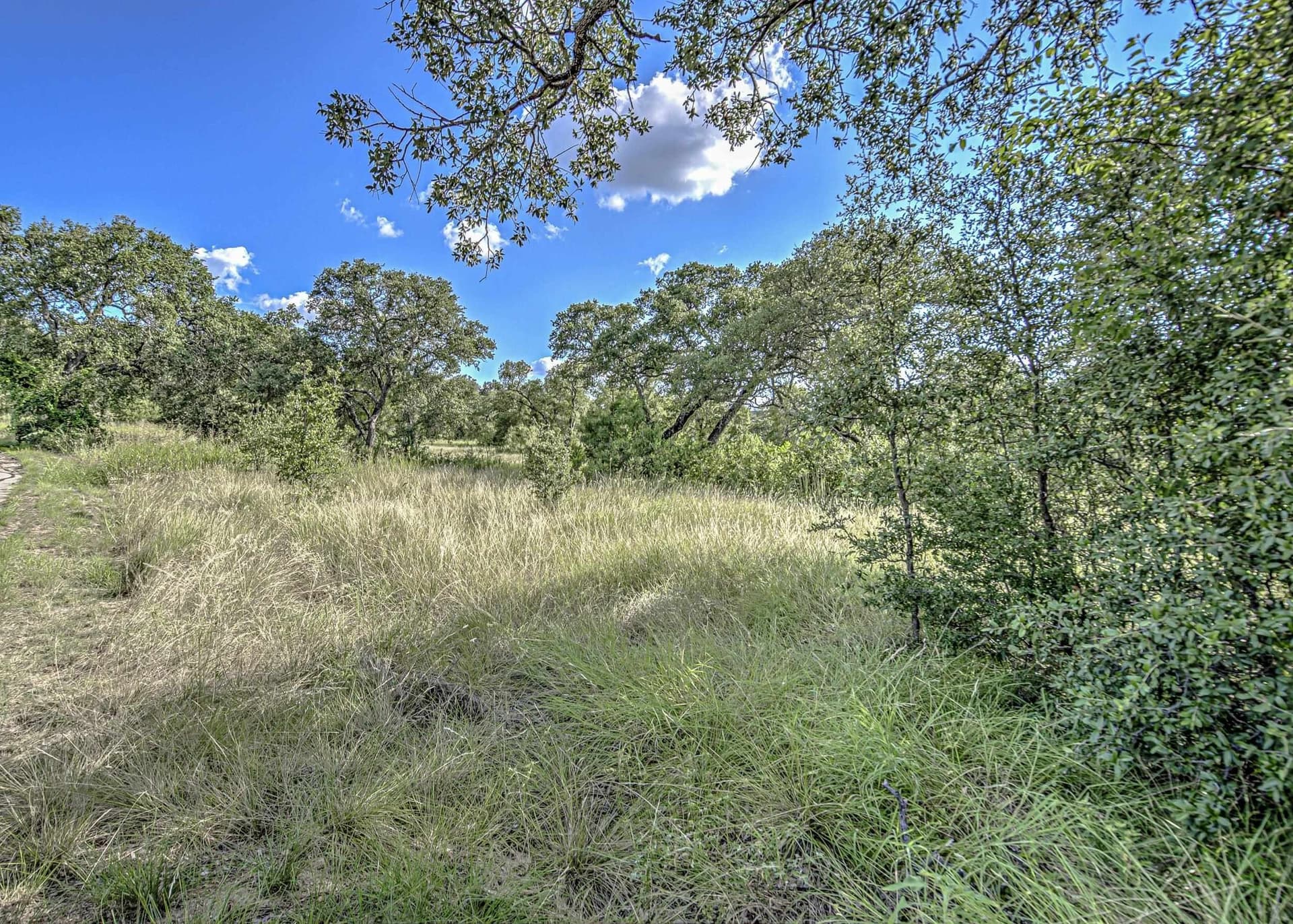 1.54 acres in Llano County - photo 25