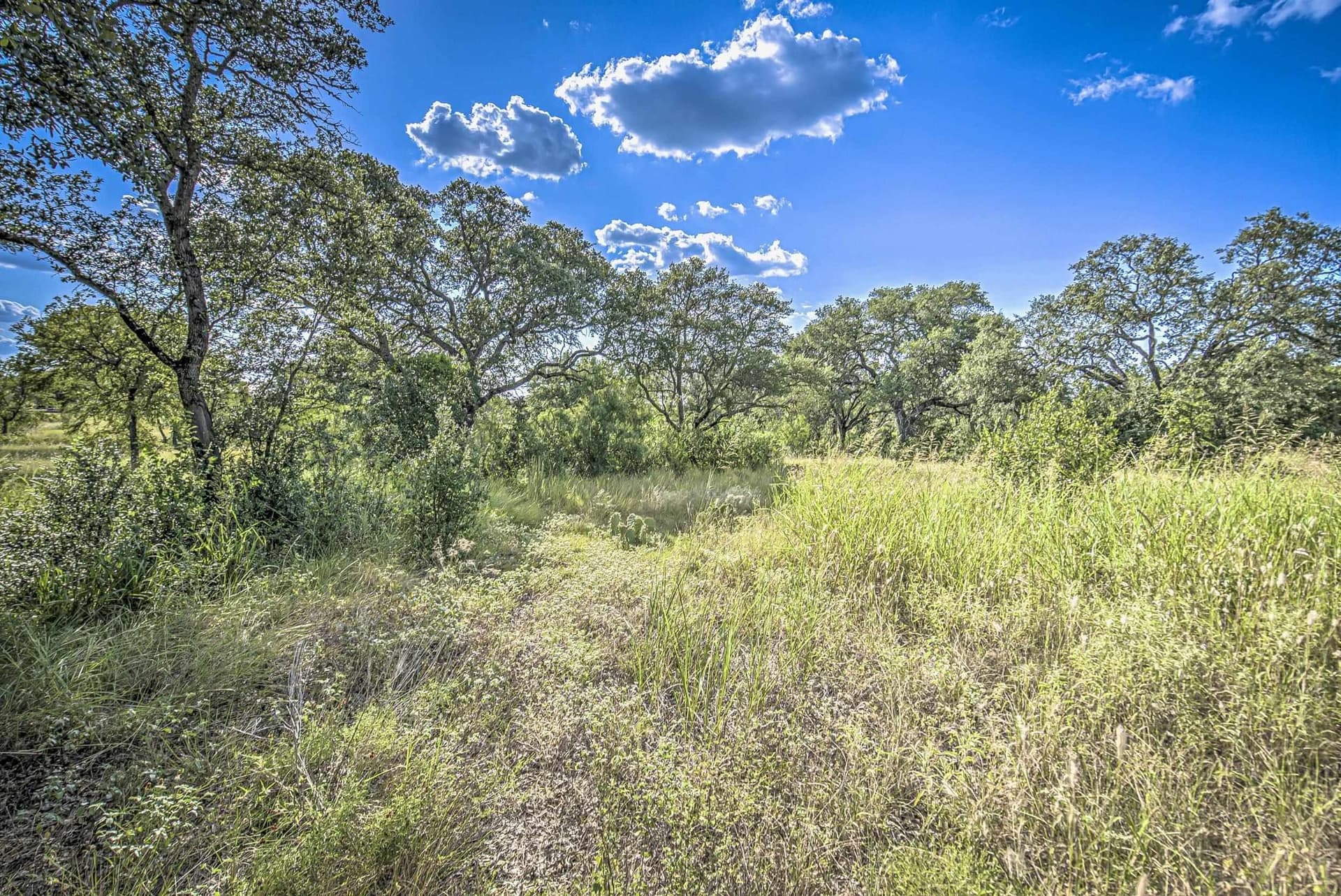1.54 acres in Llano County - photo 19