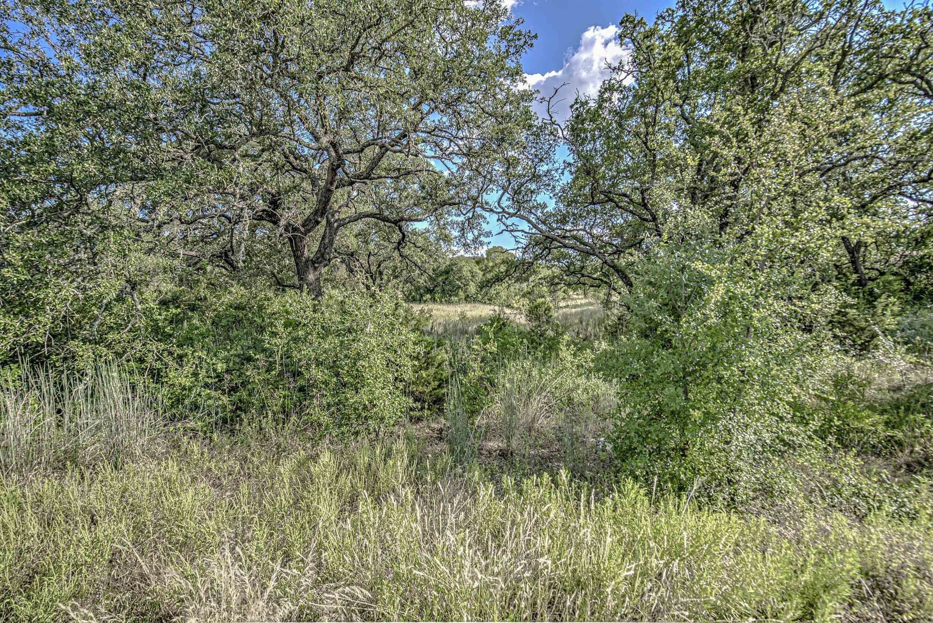 1.54 acres in Llano County - photo 22