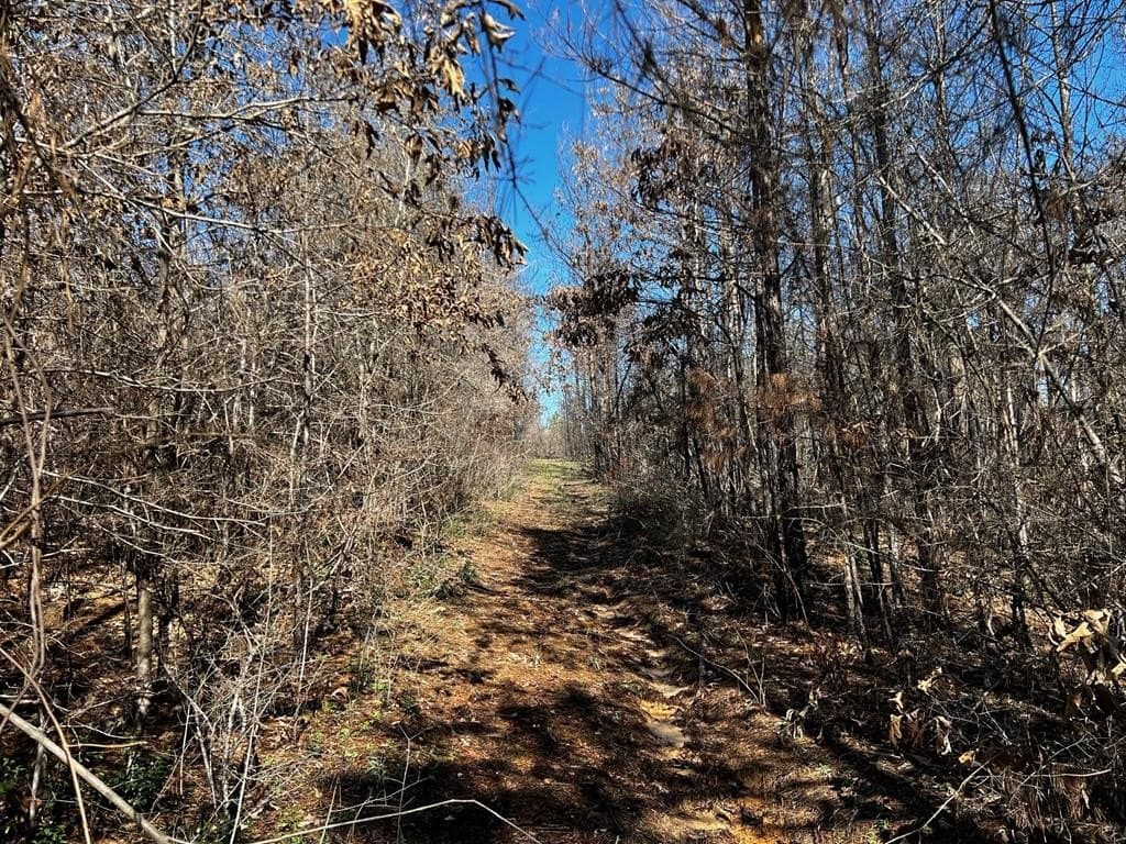 5.07 acres in Texas County