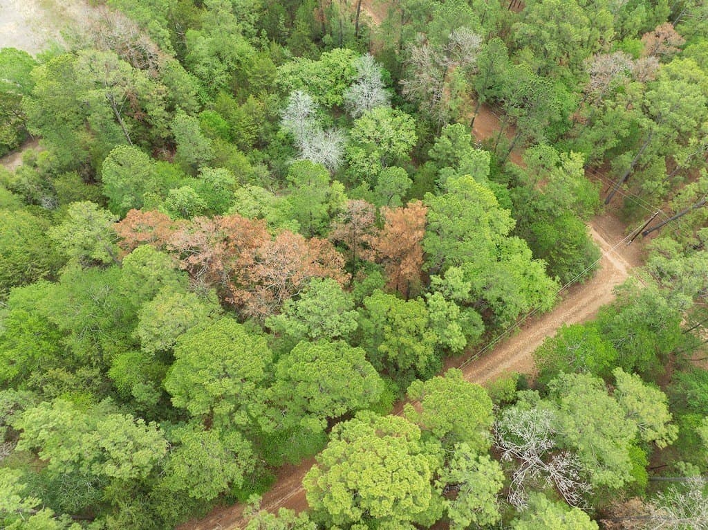 0.97 acres in Fayette County featured view