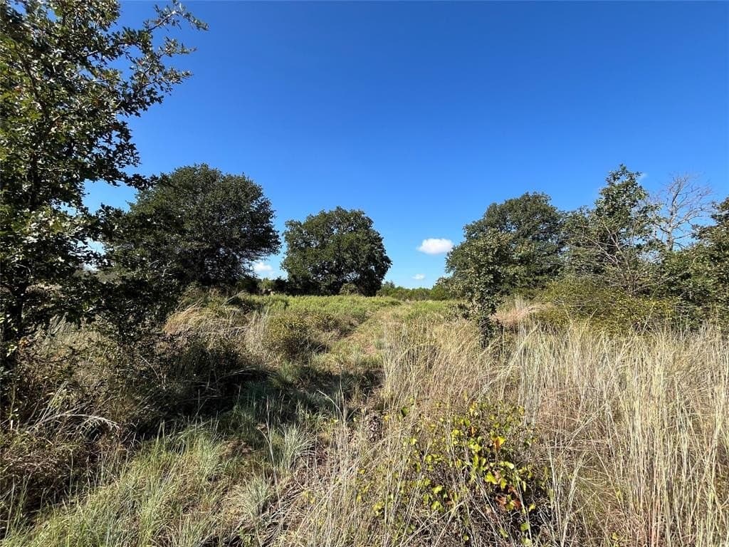 10 acres in Erath County gallery image 4