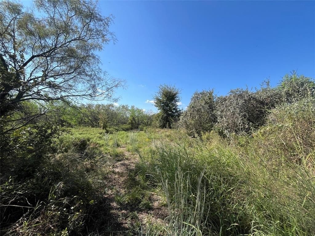 10 acres in Erath County gallery image 3