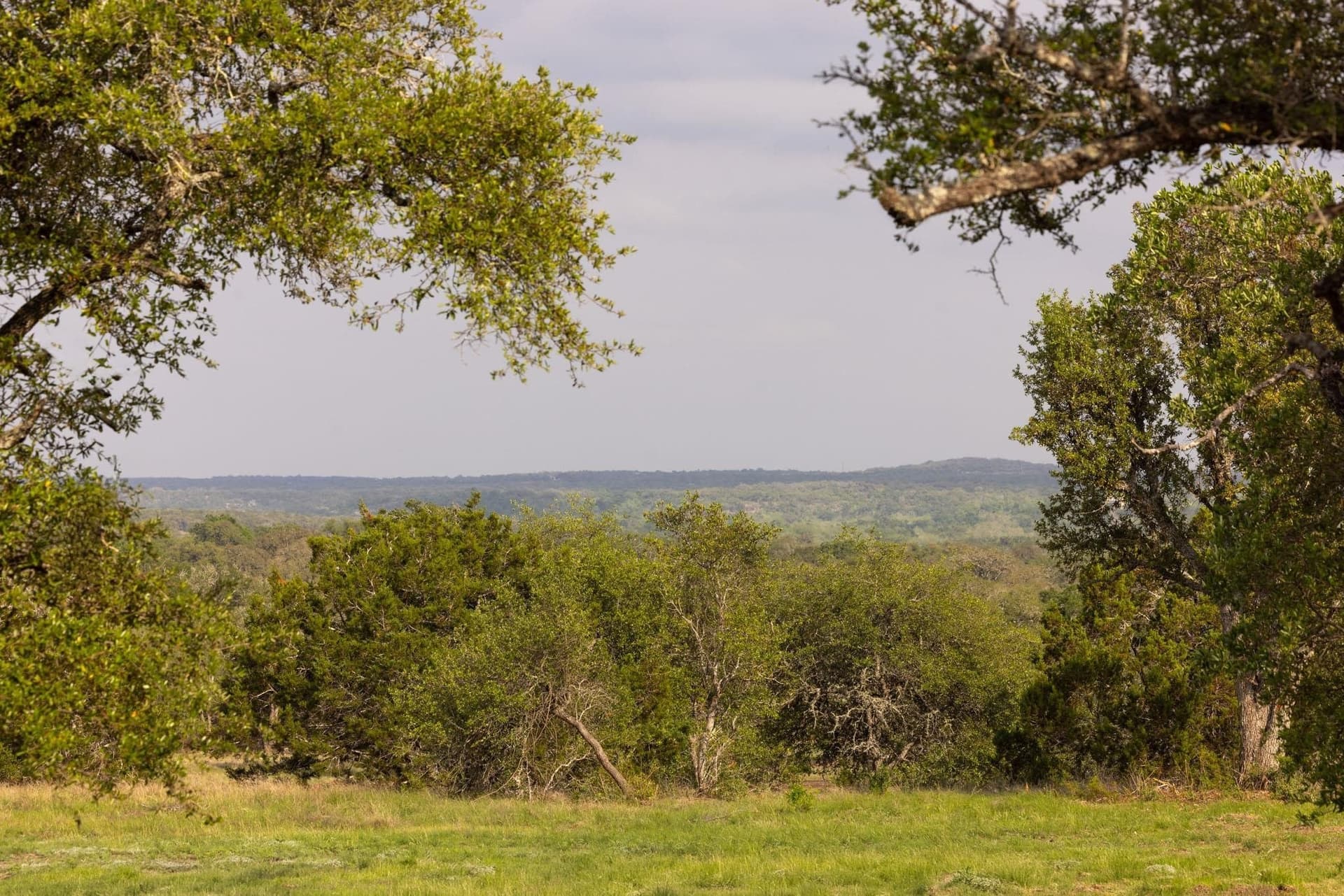 10.07 acres in Hays County - photo 13