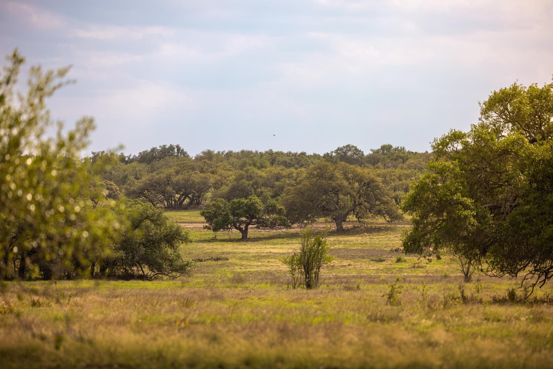 10.07 acres in Hays County - photo 10