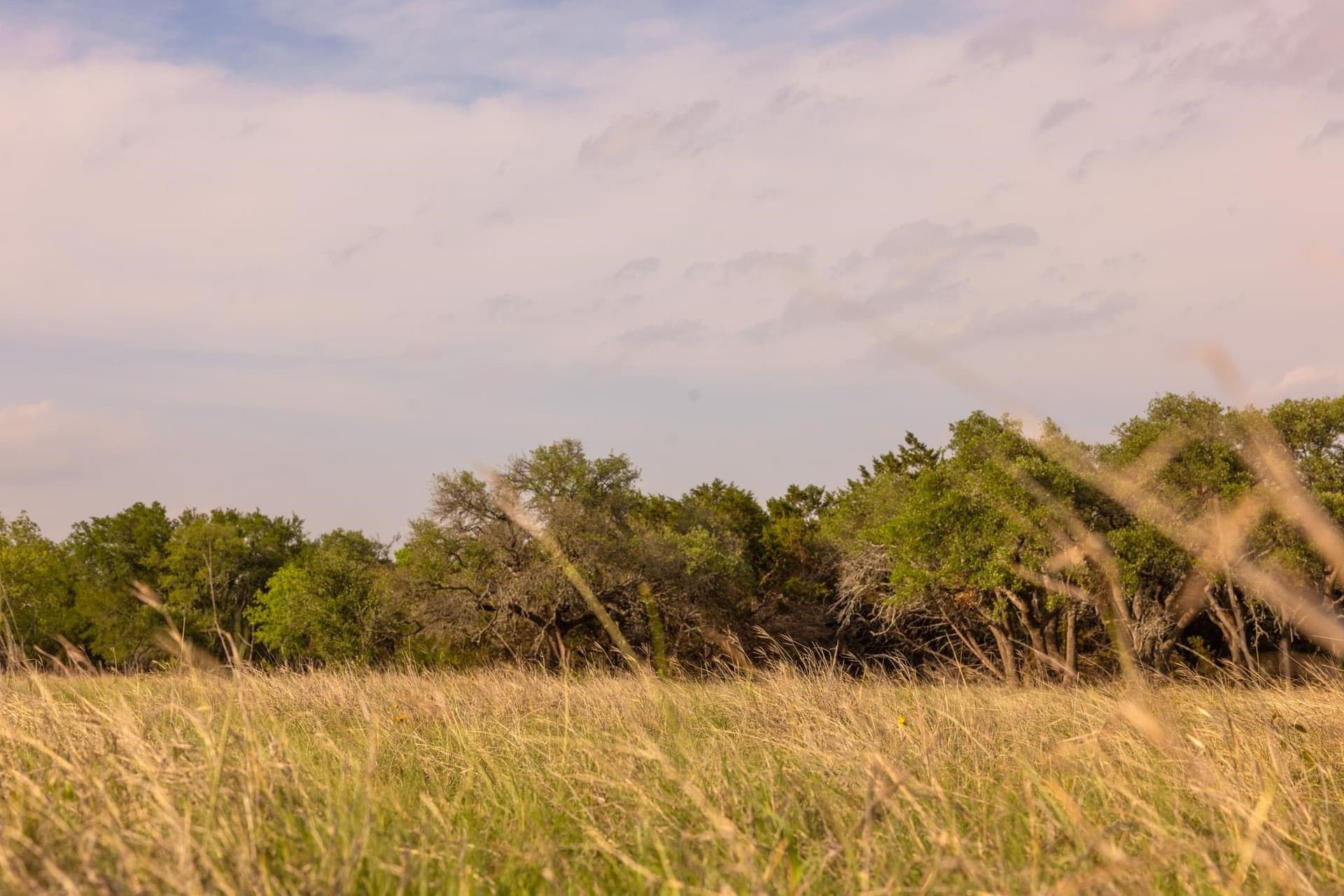 10.07 acres in Hays County featured view