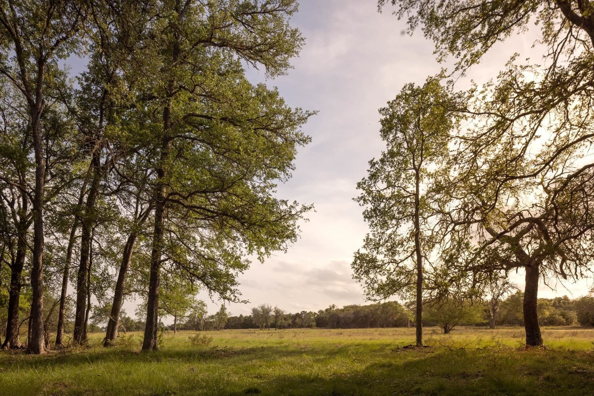 10.07 acres in Hays County - photo 14