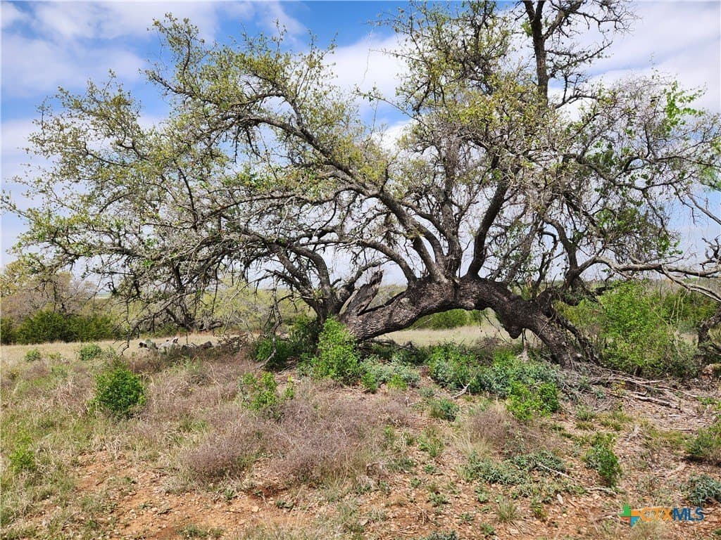 14.62 acres in Mills County - photo 7