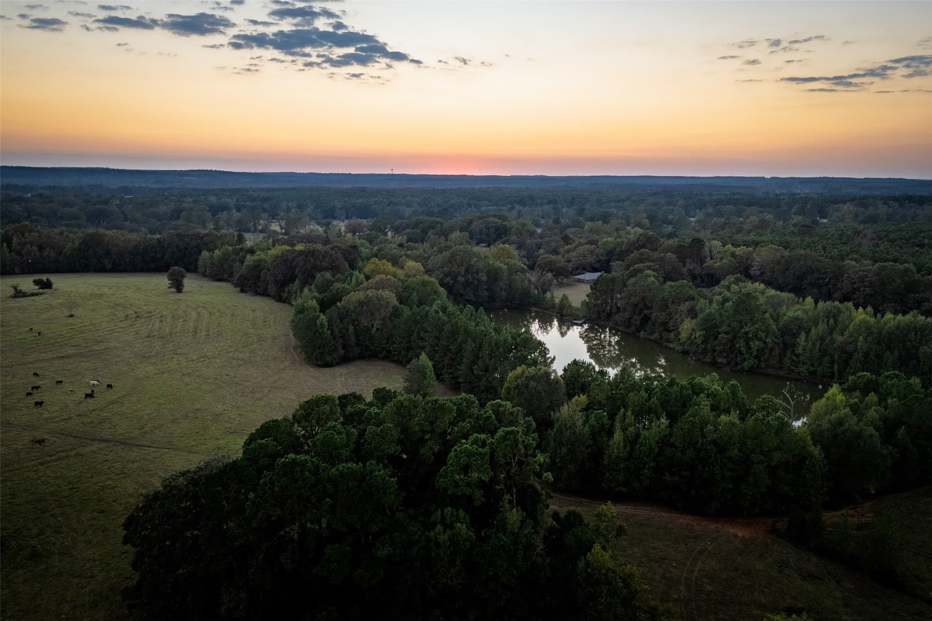 100 acres in Shelby County gallery image 4
