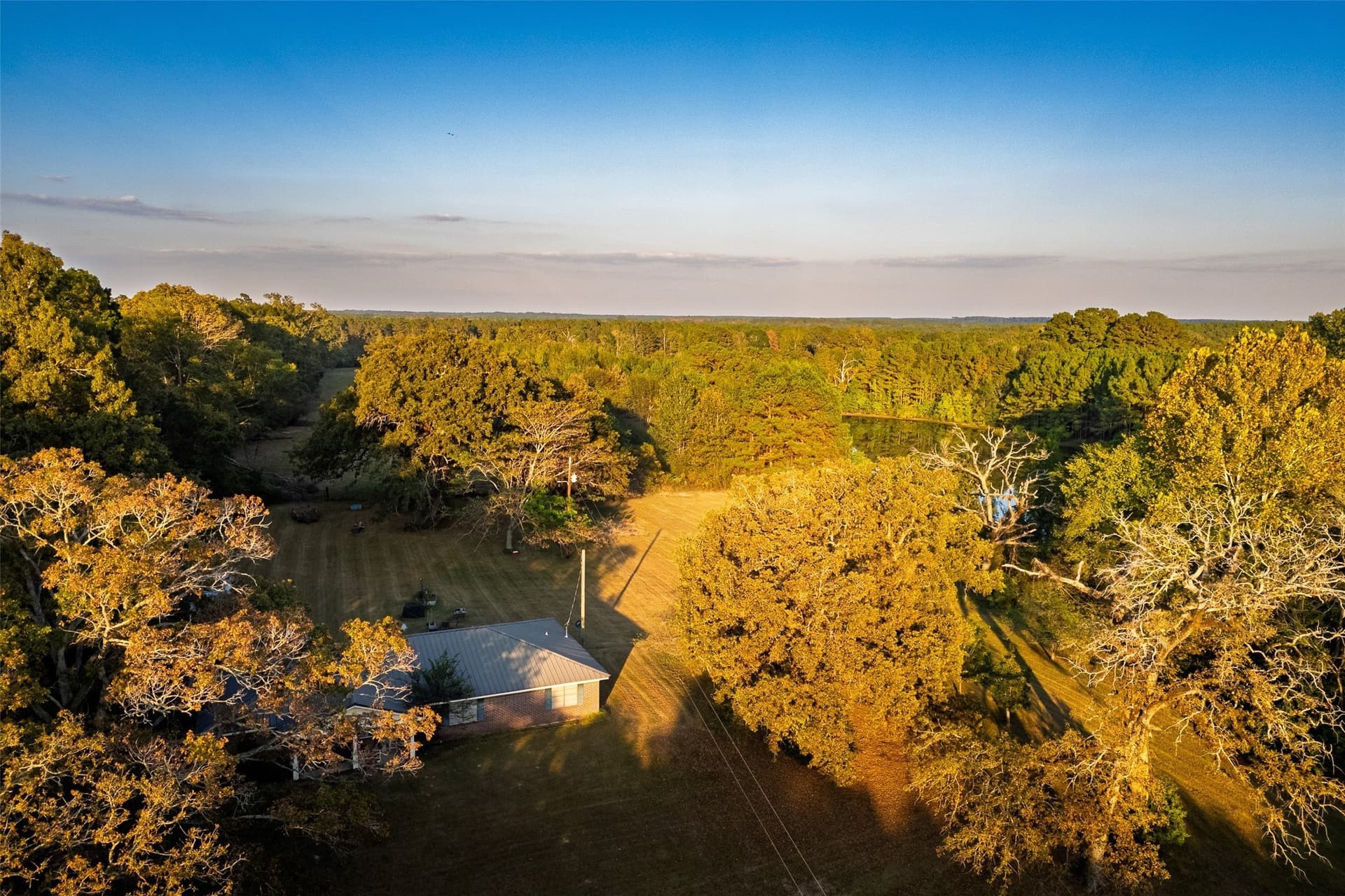 100 acres in Shelby County featured view