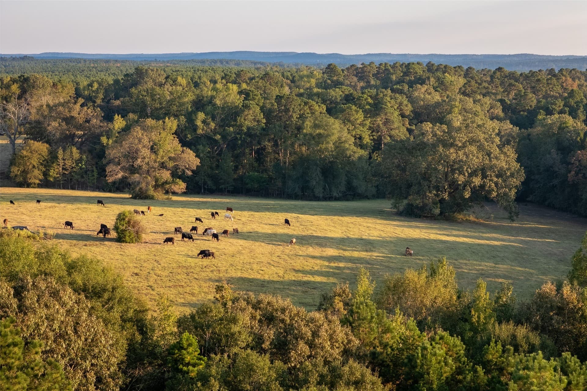 100 acres in Shelby County - photo 19