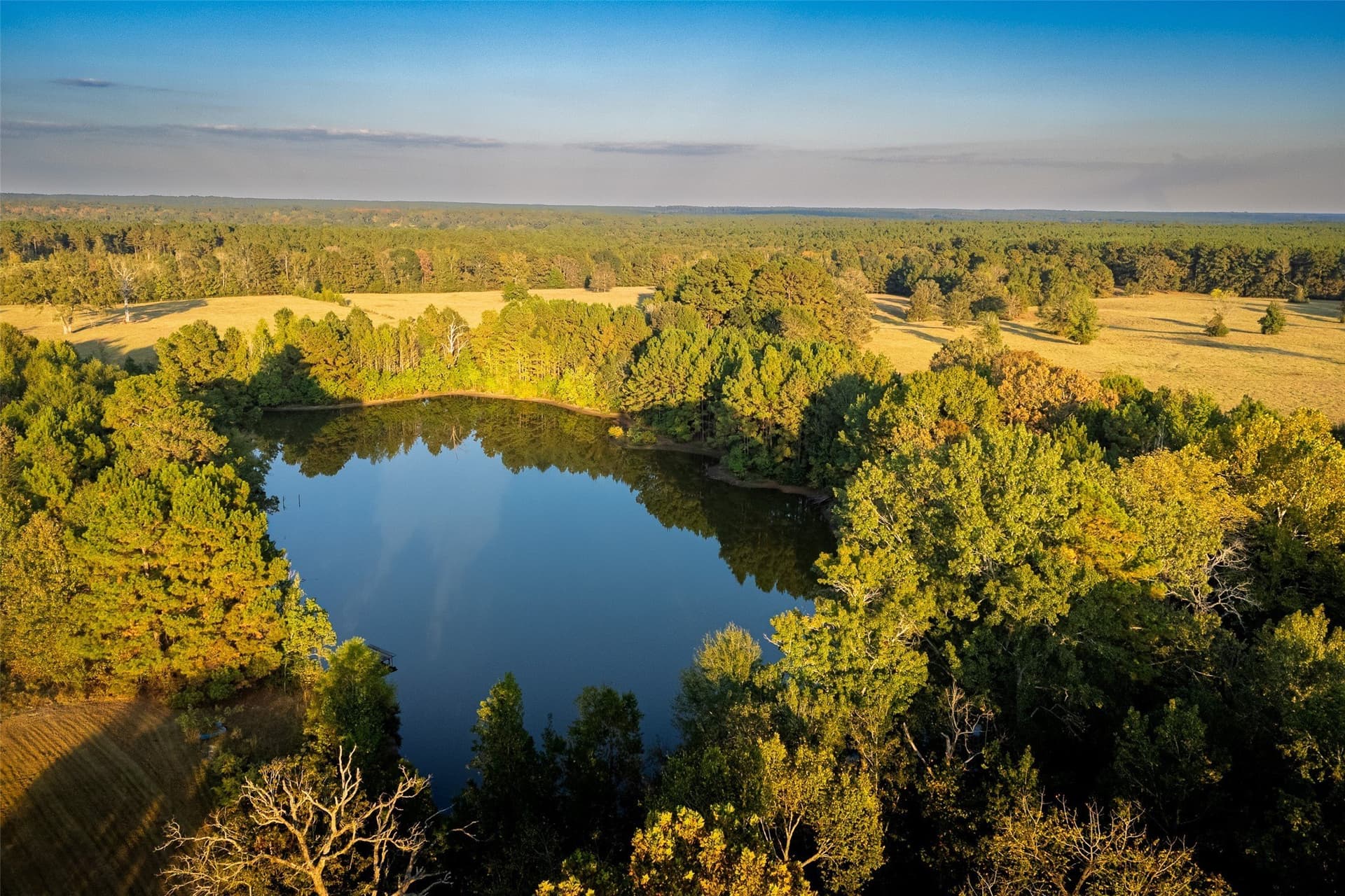 100 acres in Shelby County - photo 38