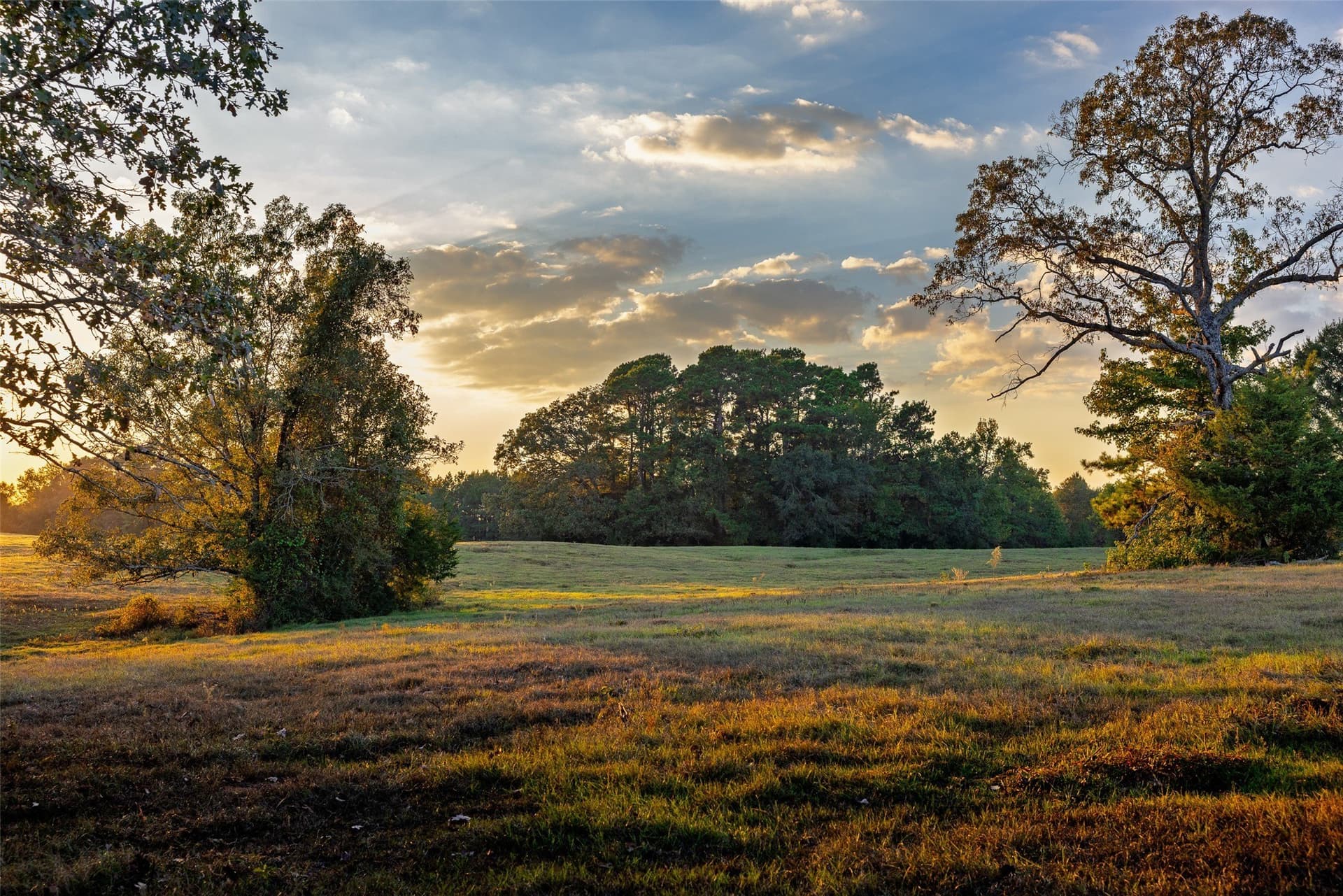 100 acres in Shelby County - photo 23