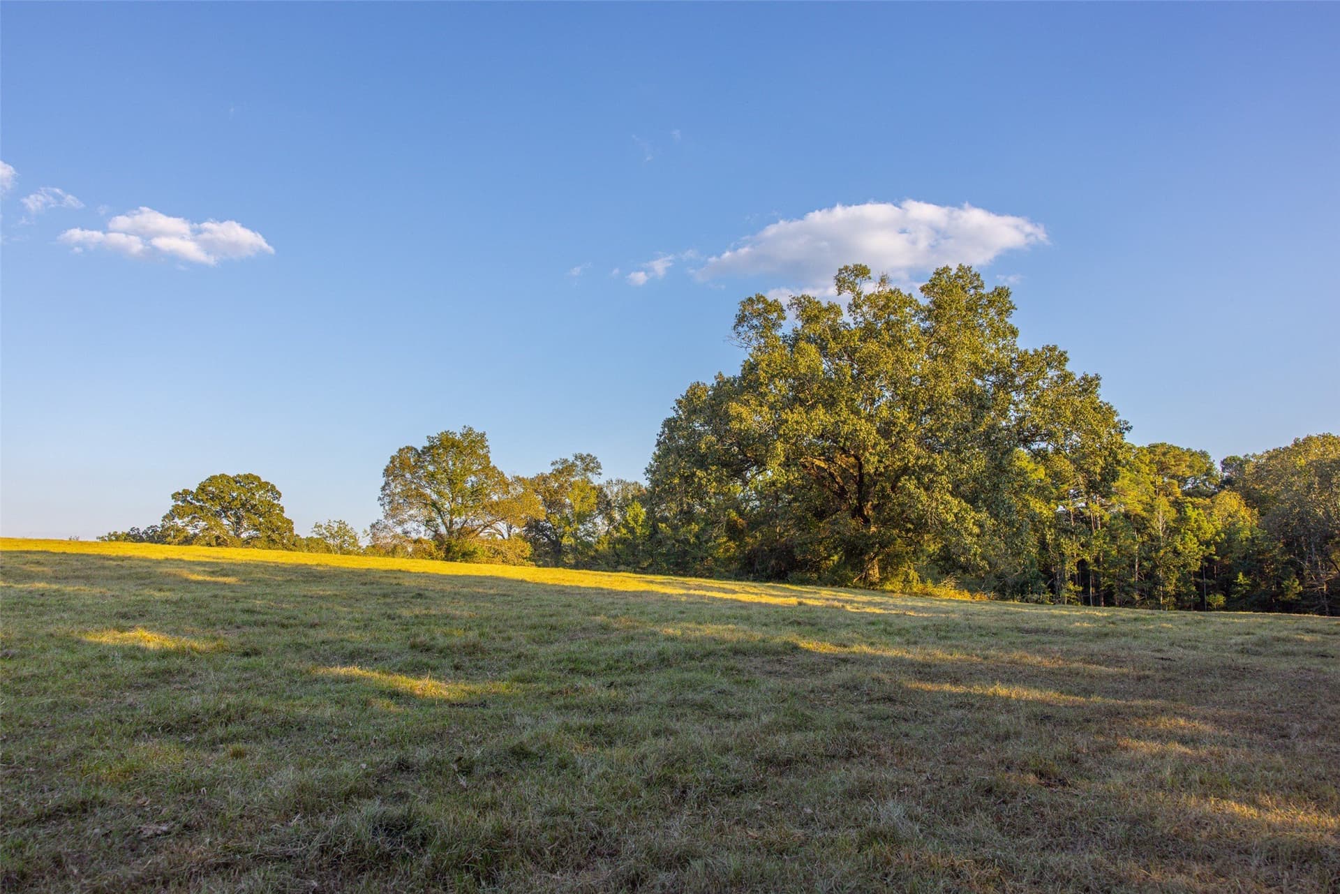 100 acres in Shelby County - photo 36