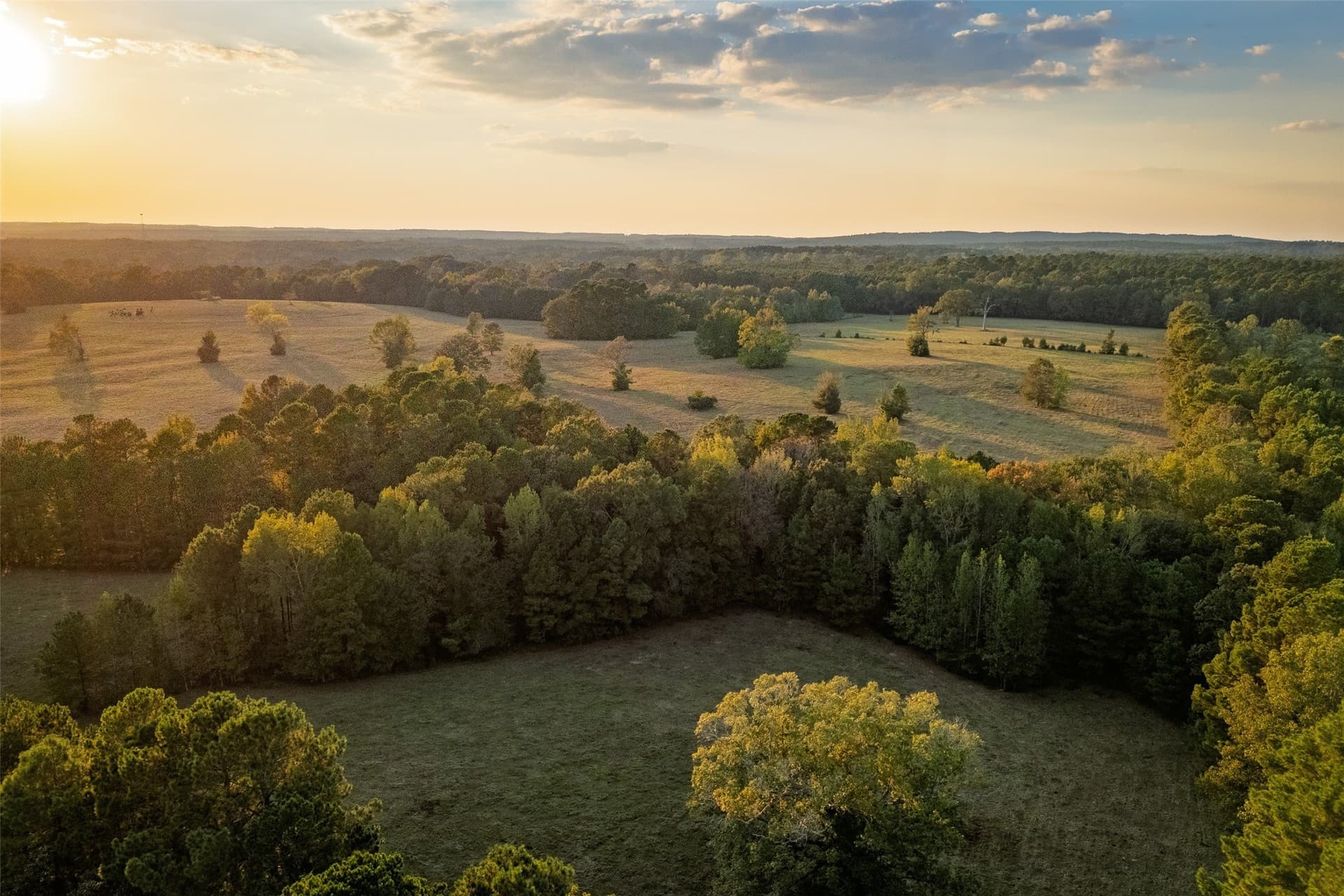 100 acres in Shelby County gallery image 2