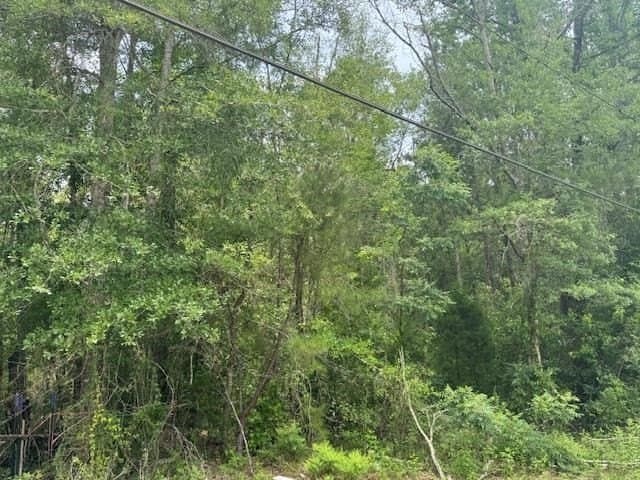 1 acres in Texas County gallery image 3