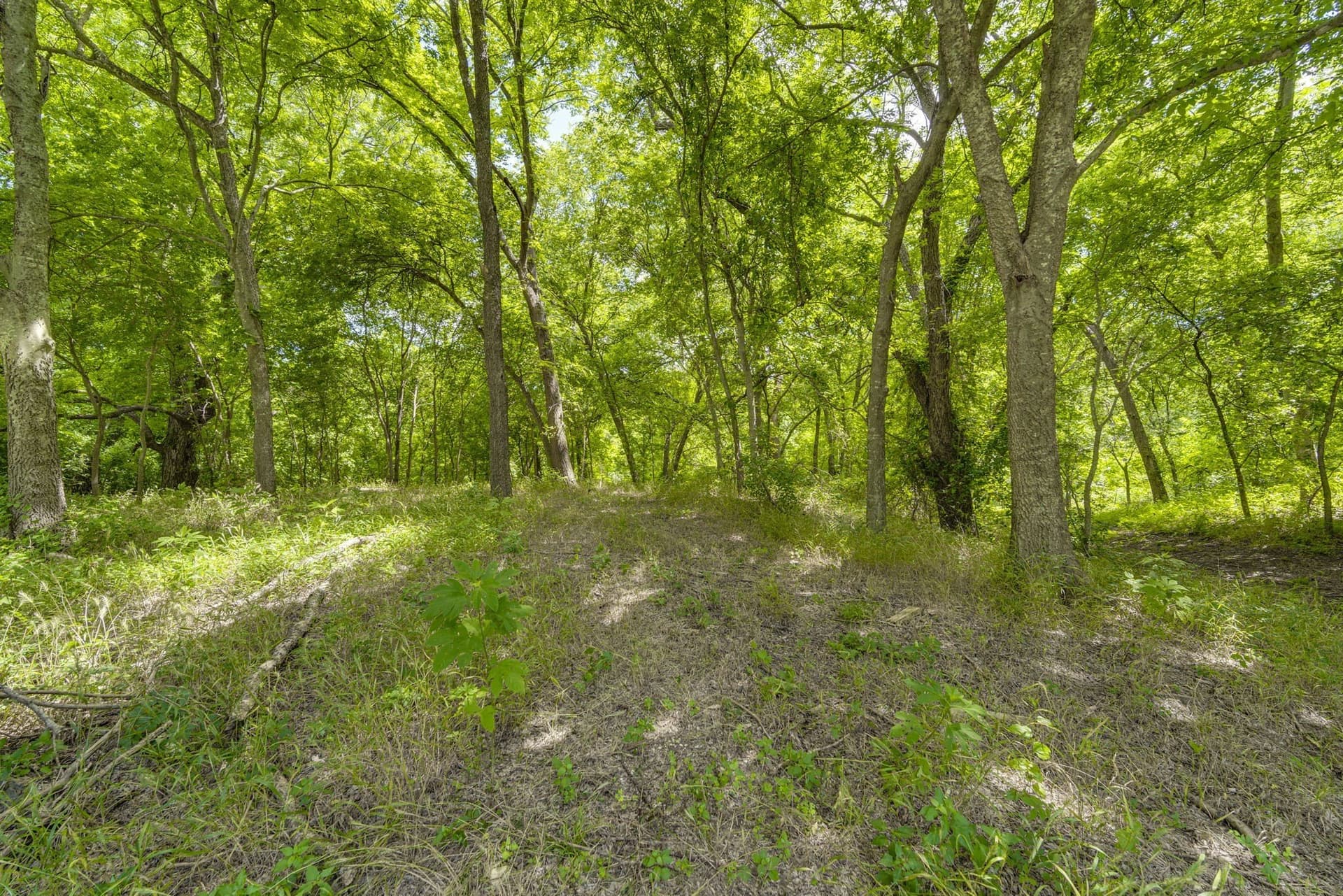 4.57 acres in Ellis County - photo 17