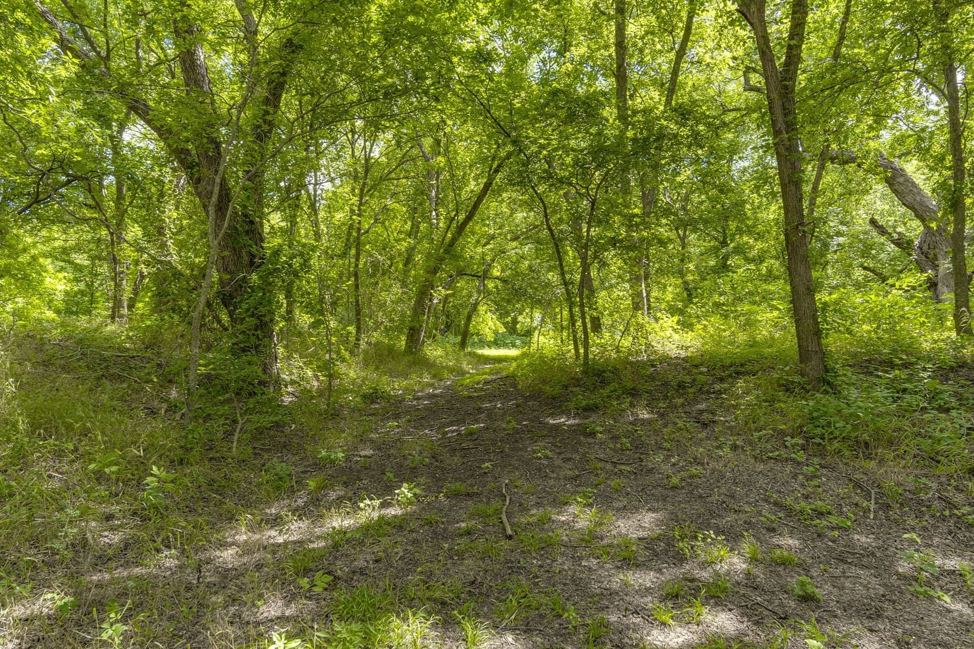 4.57 acres in Ellis County - photo 14