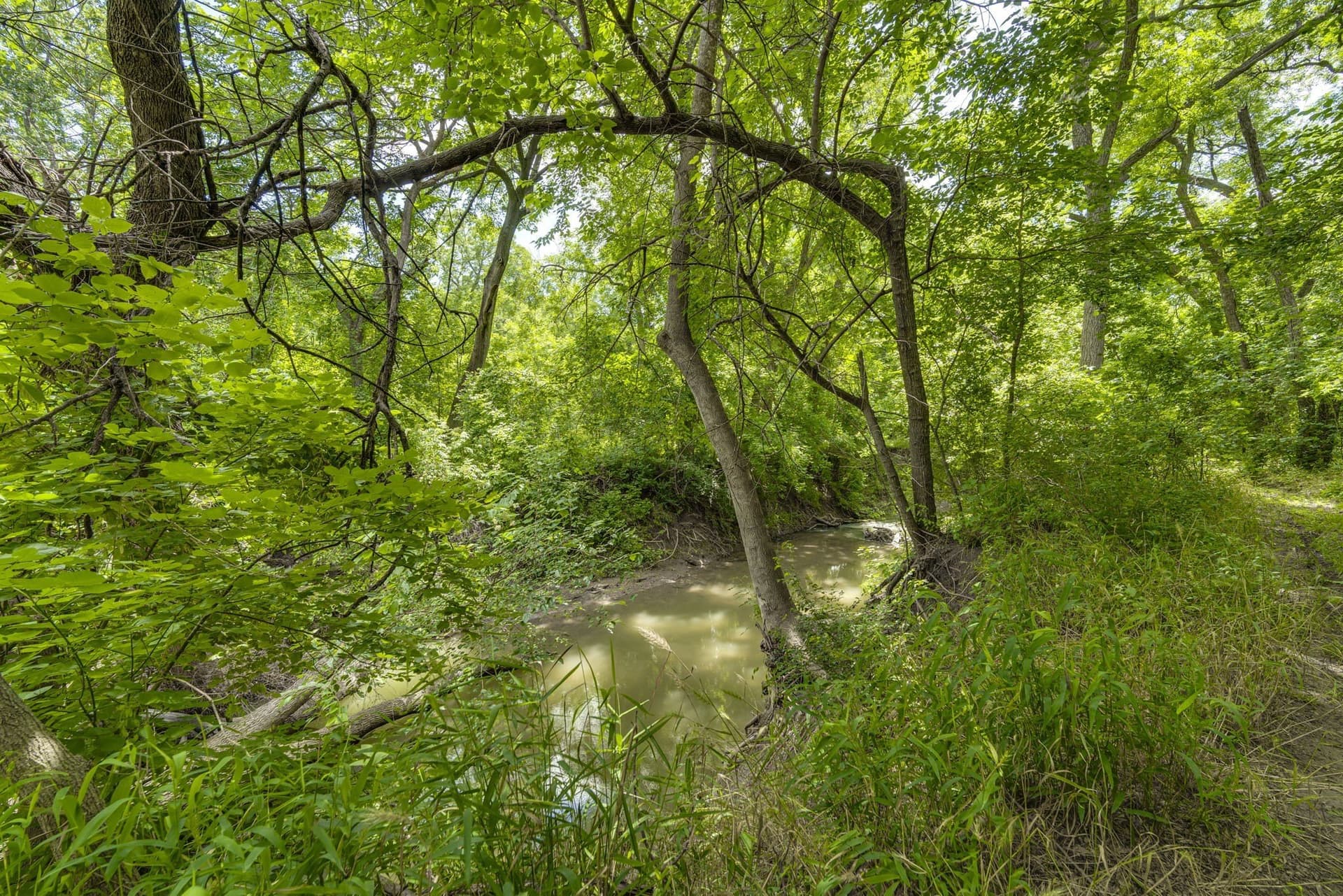4.57 acres in Ellis County - photo 10