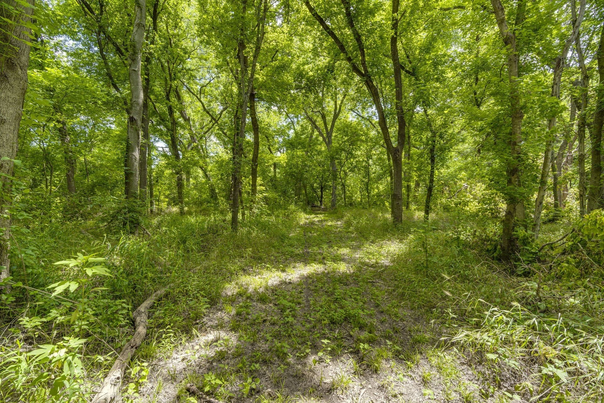 4.57 acres in Ellis County - photo 11