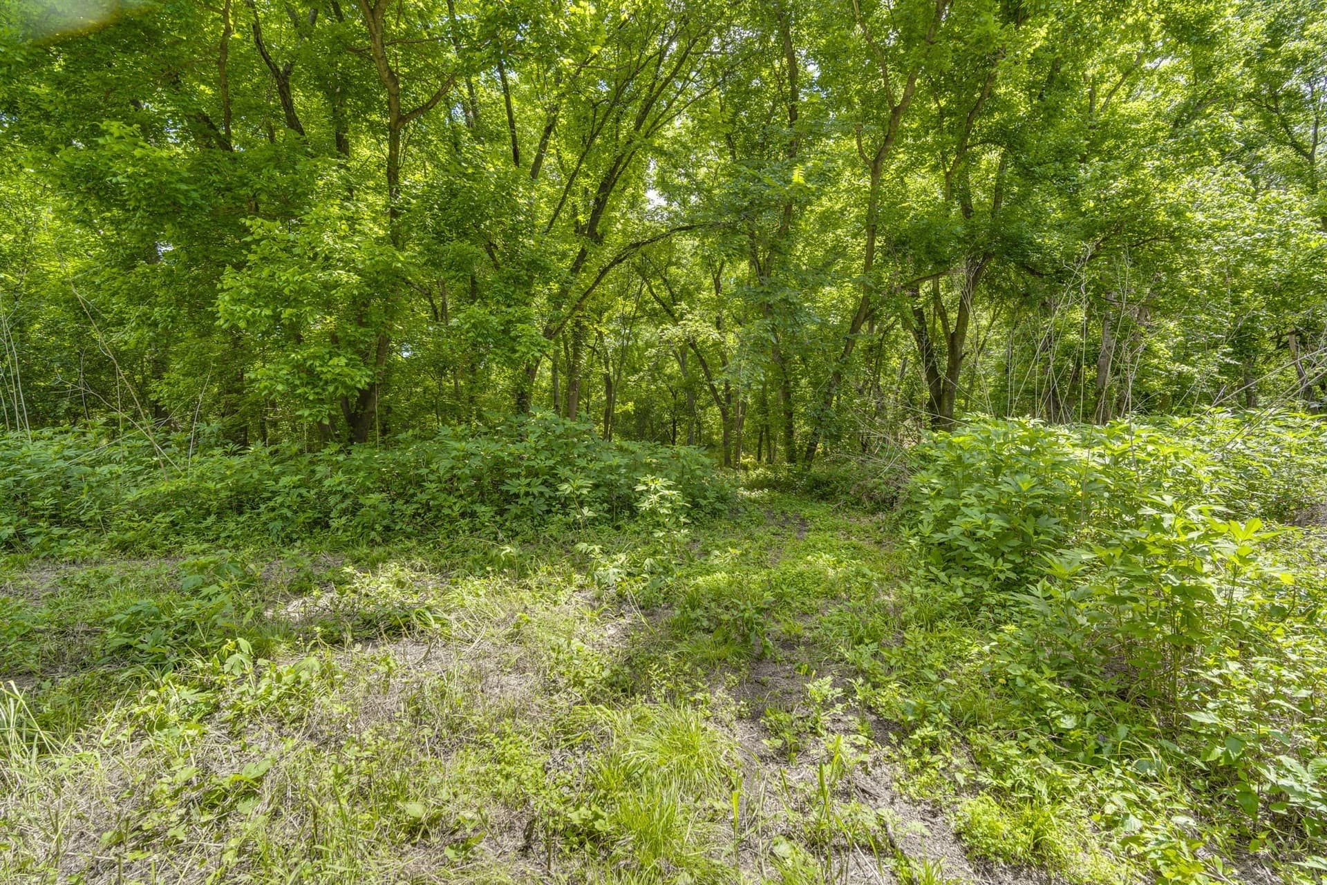 4.57 acres in Ellis County - photo 12