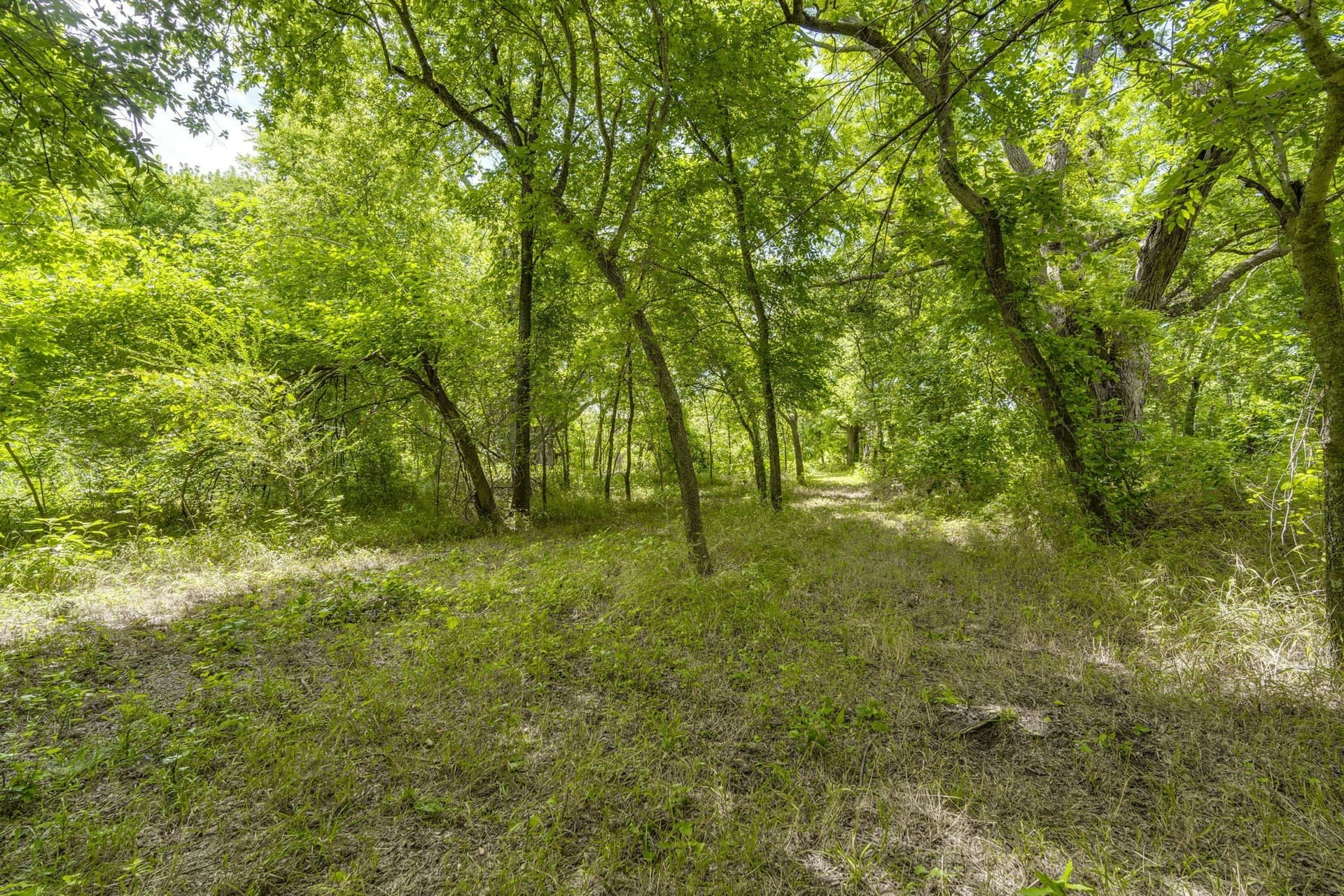 4.57 acres in Ellis County - photo 13