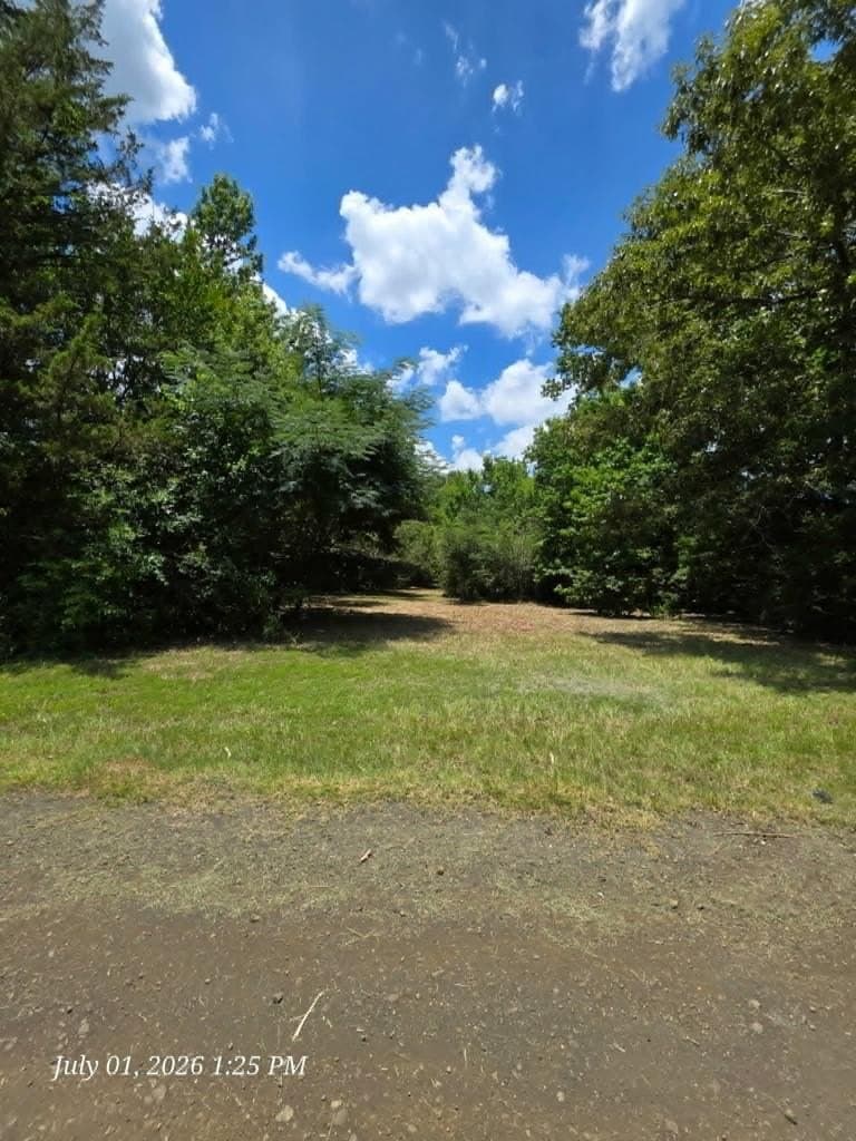 3.17 acres in Texas County gallery image 3