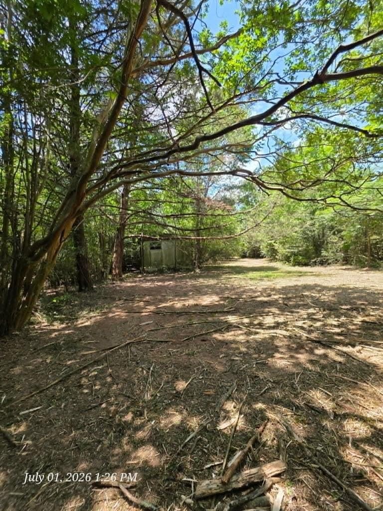 3.17 acres in Texas County gallery image 4