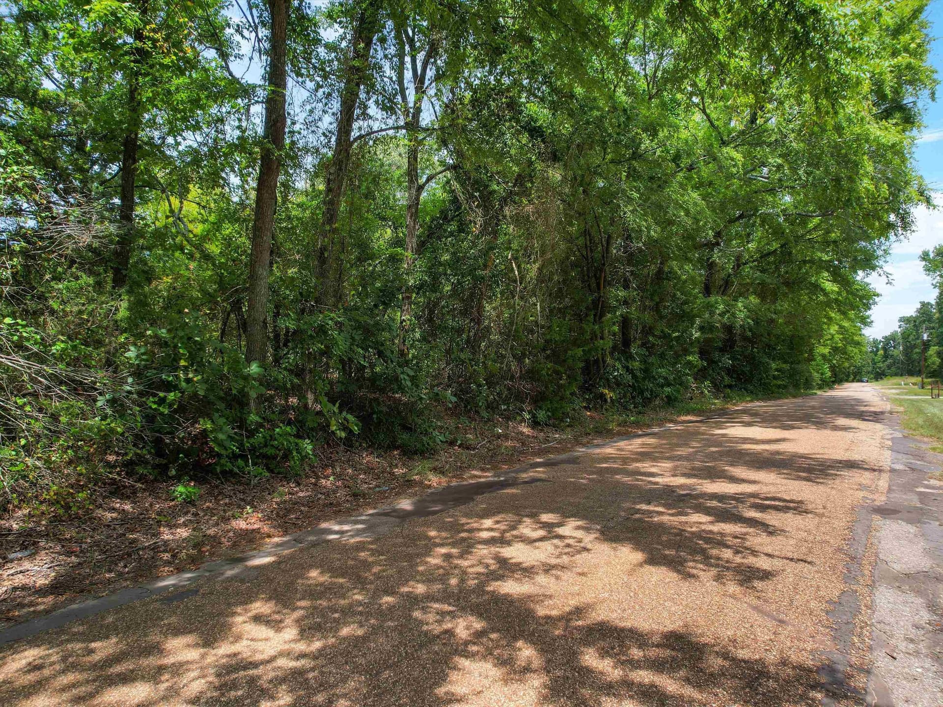 8 acres in Texas County featured view