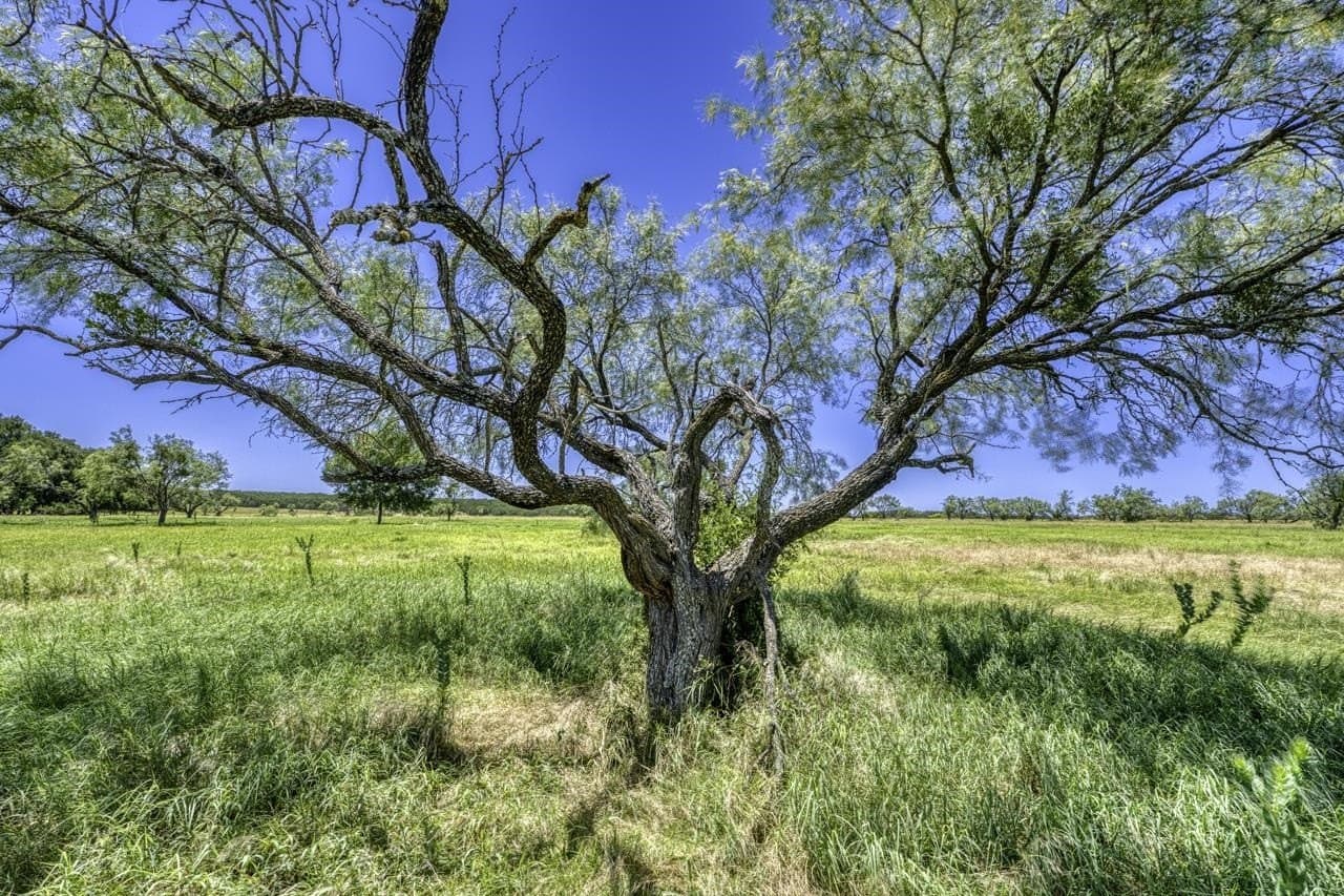 40.1 acres in Lampasas County - photo 21