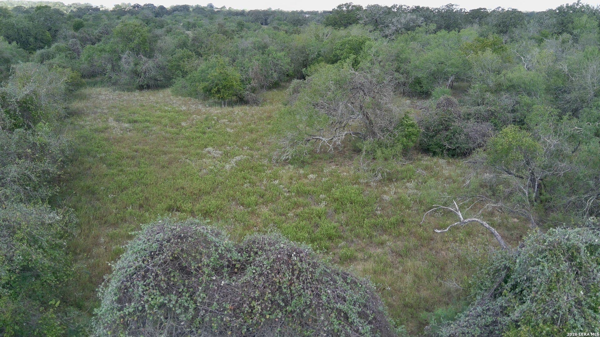 39.84 acres in Guadalupe County gallery image 4