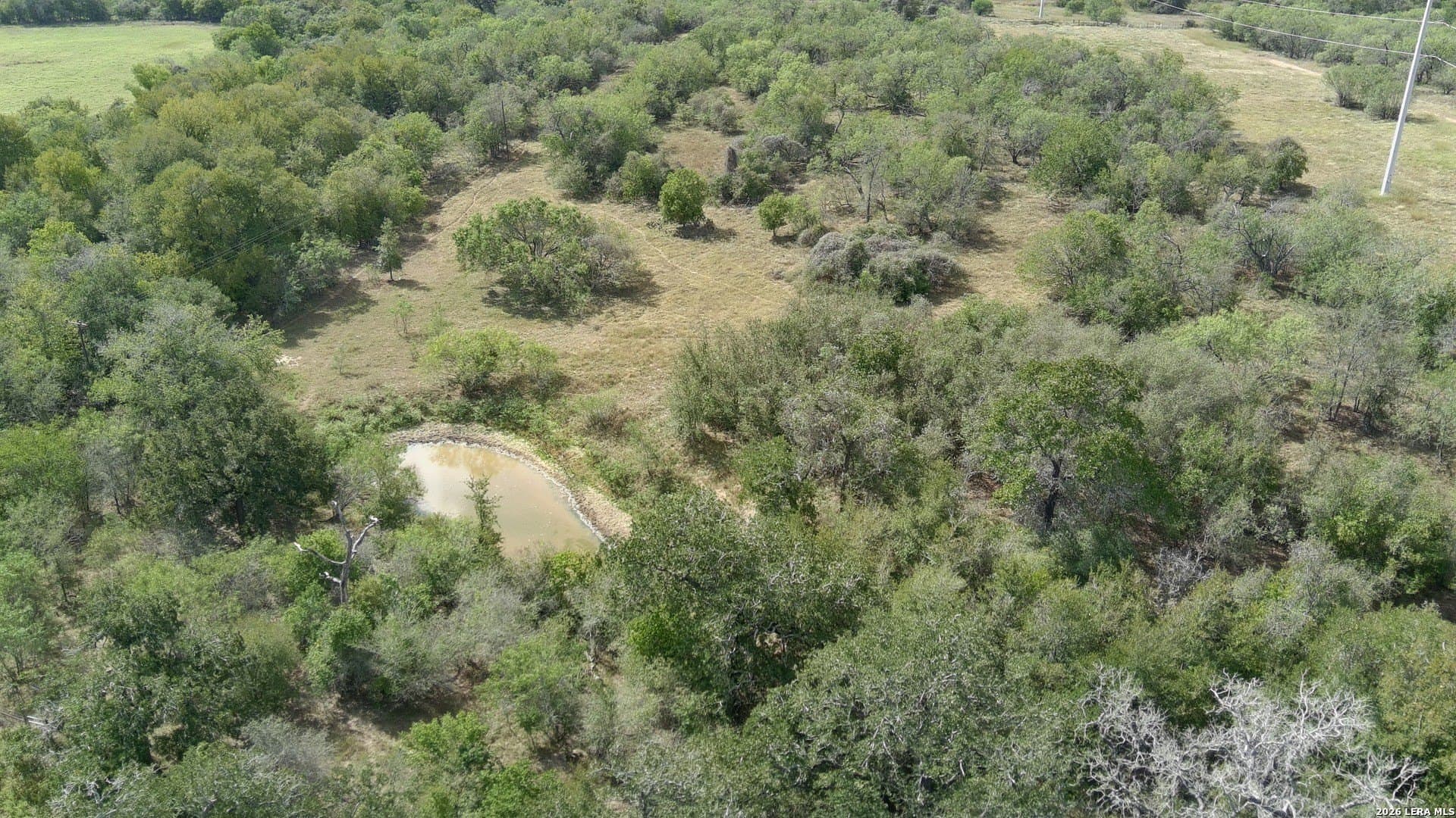 39.84 acres in Guadalupe County gallery image 2