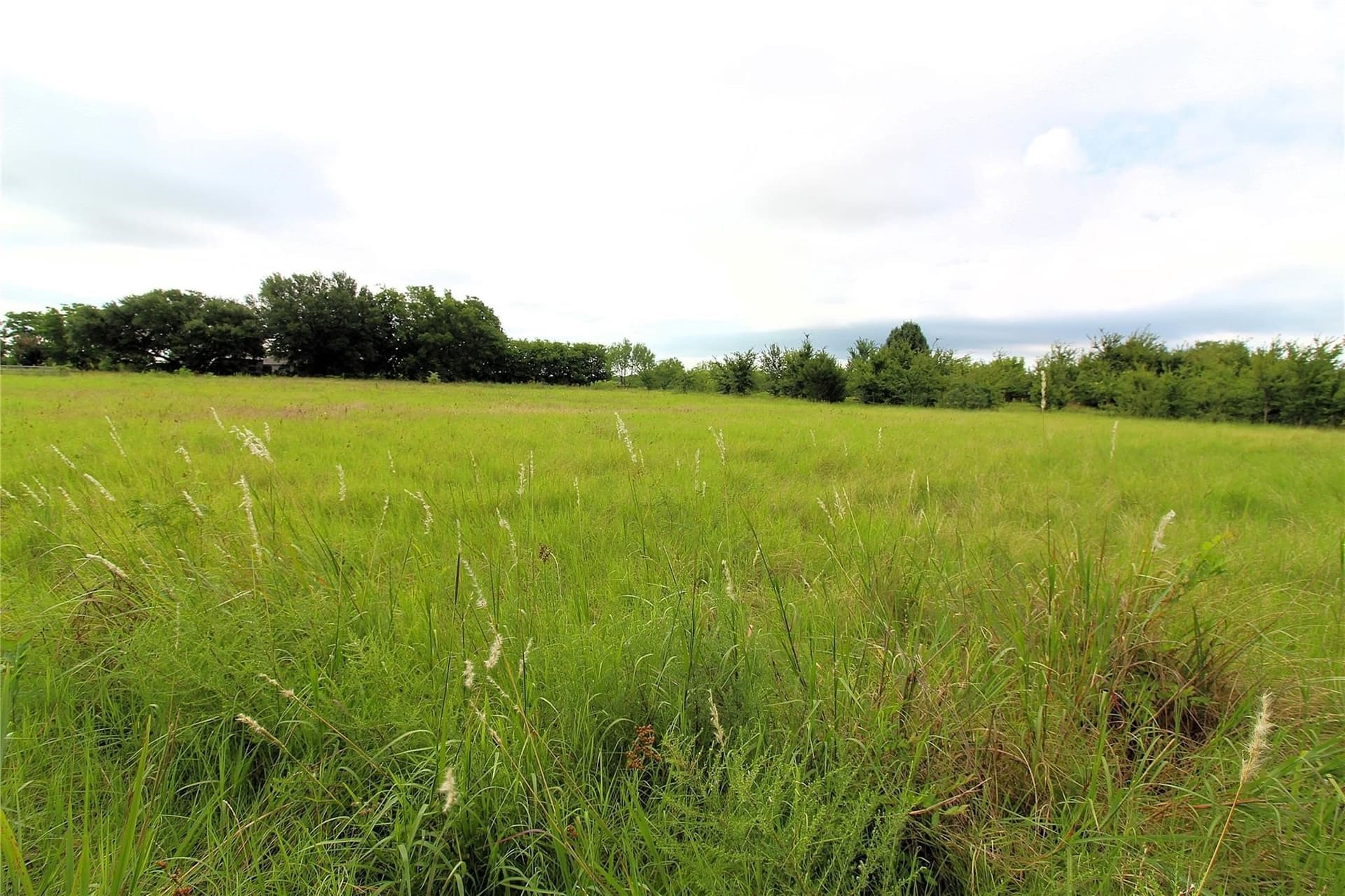 2.37 acres in Kaufman County - photo 5