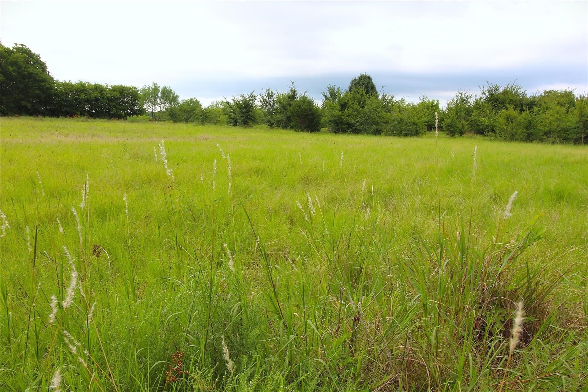 2.37 acres in Kaufman County - photo 11