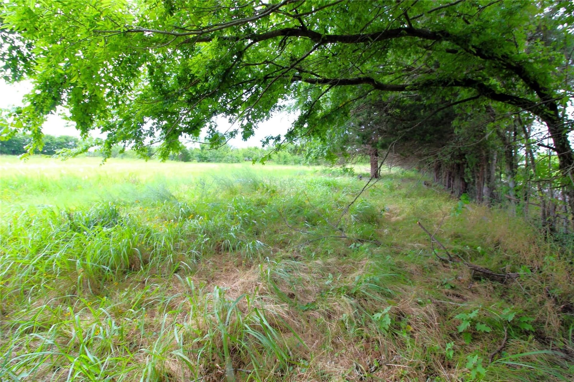2.37 acres in Kaufman County - photo 6