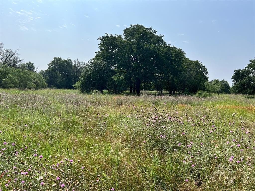 21.2 acres in Comanche County gallery image 4