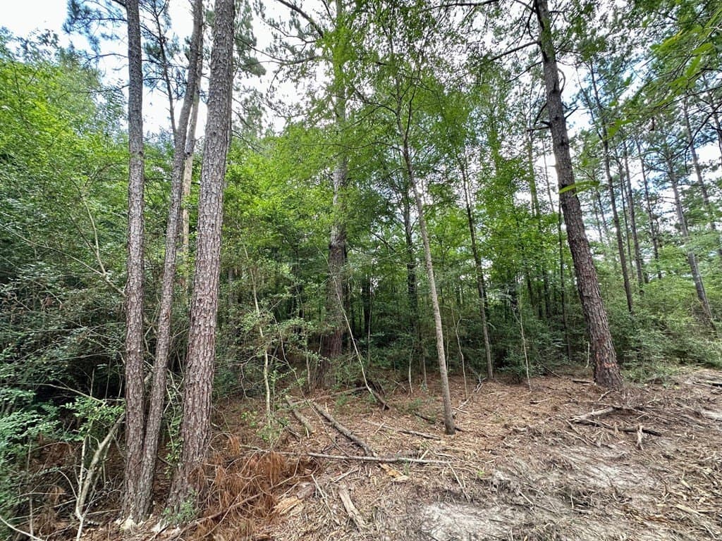 1.65 acres in Texas County gallery image 3