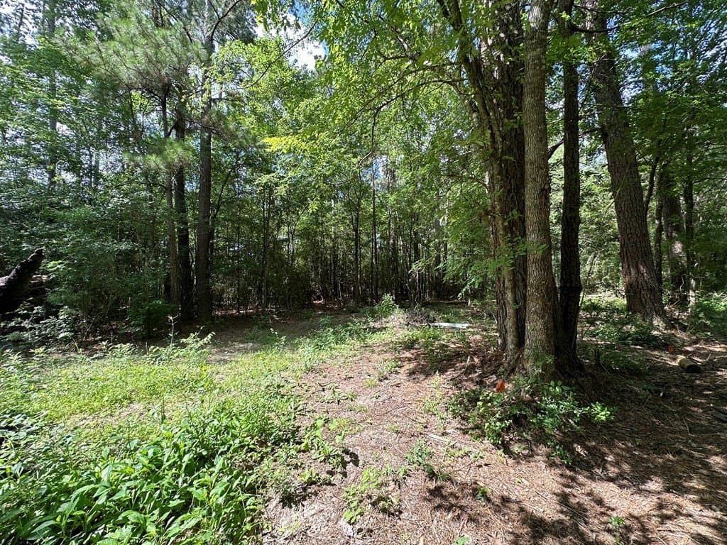 1.65 acres in Texas County - photo 6