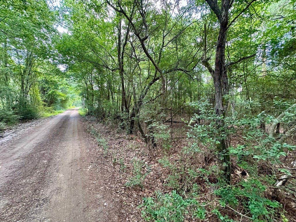 1.65 acres in Texas County gallery image 2